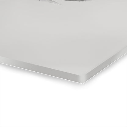 Diffuse Grace - Modern Minimalist Acrylic Wall Art - 20 x 16 Inch - Thickness - Dyborn Designs